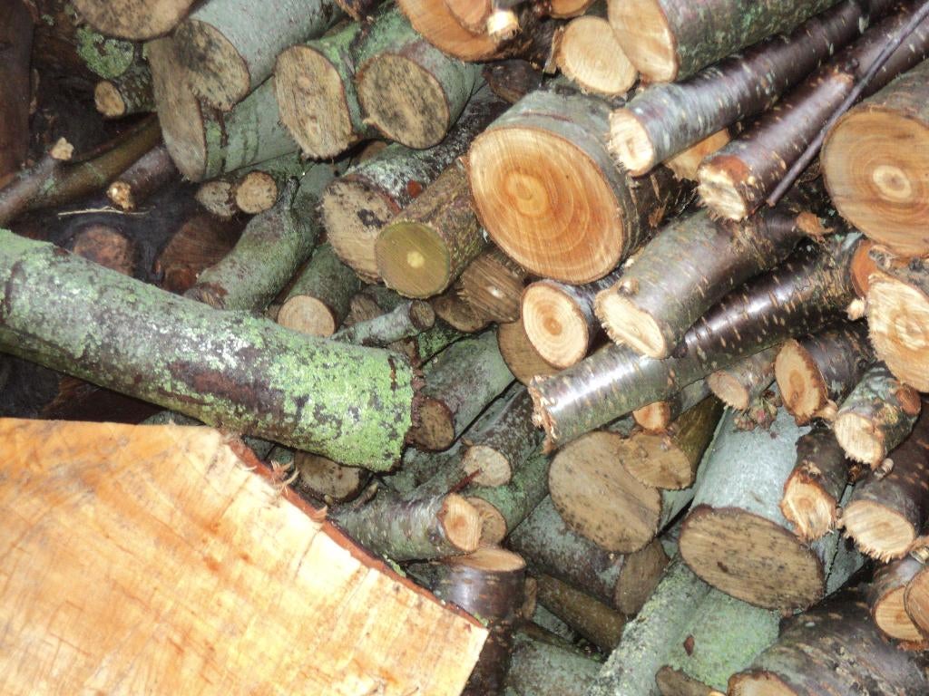 HAARDHOUT NOG +/- 8 a 9 KUUP VAN FRUITBOMEN+WILGEN IN 1 KOOP, Tuin en Terras, Haardhout, 6 m³ of meer, Ophalen