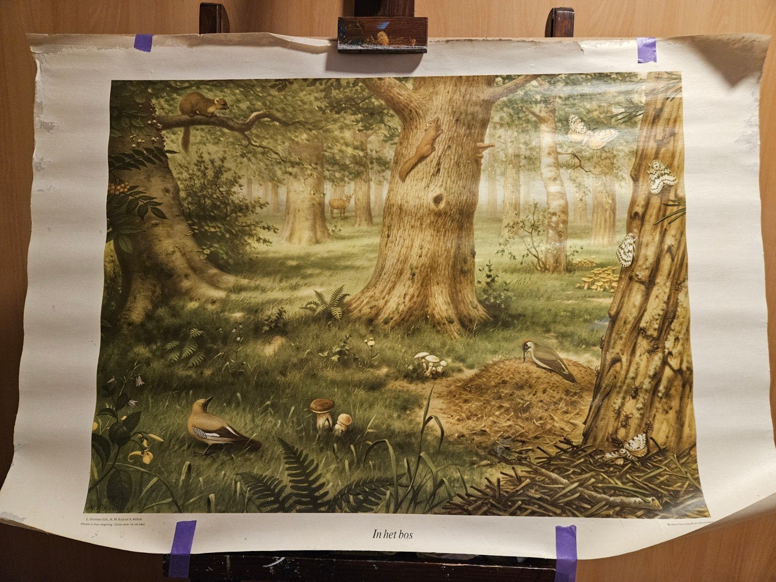 Vintage Schoolplaat 'In het bos' - Natuur en Biologie, Antiek en Kunst, Antiek | Schoolplaten, Ophalen of Verzenden, Natuur en Biologie