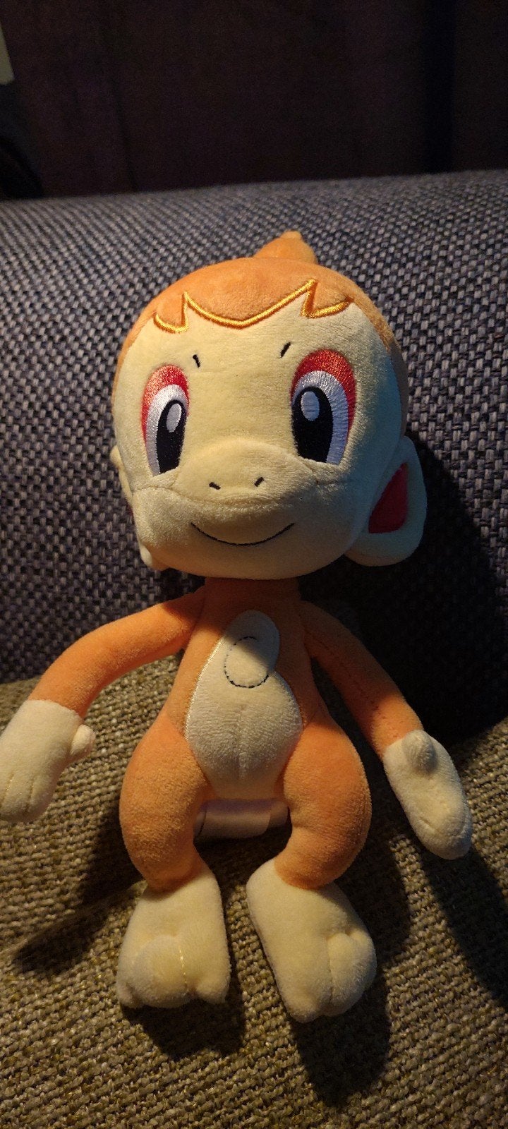 Nieuwe Pokemon knuffel., Ophalen of Verzenden, Nieuw, Overige typen