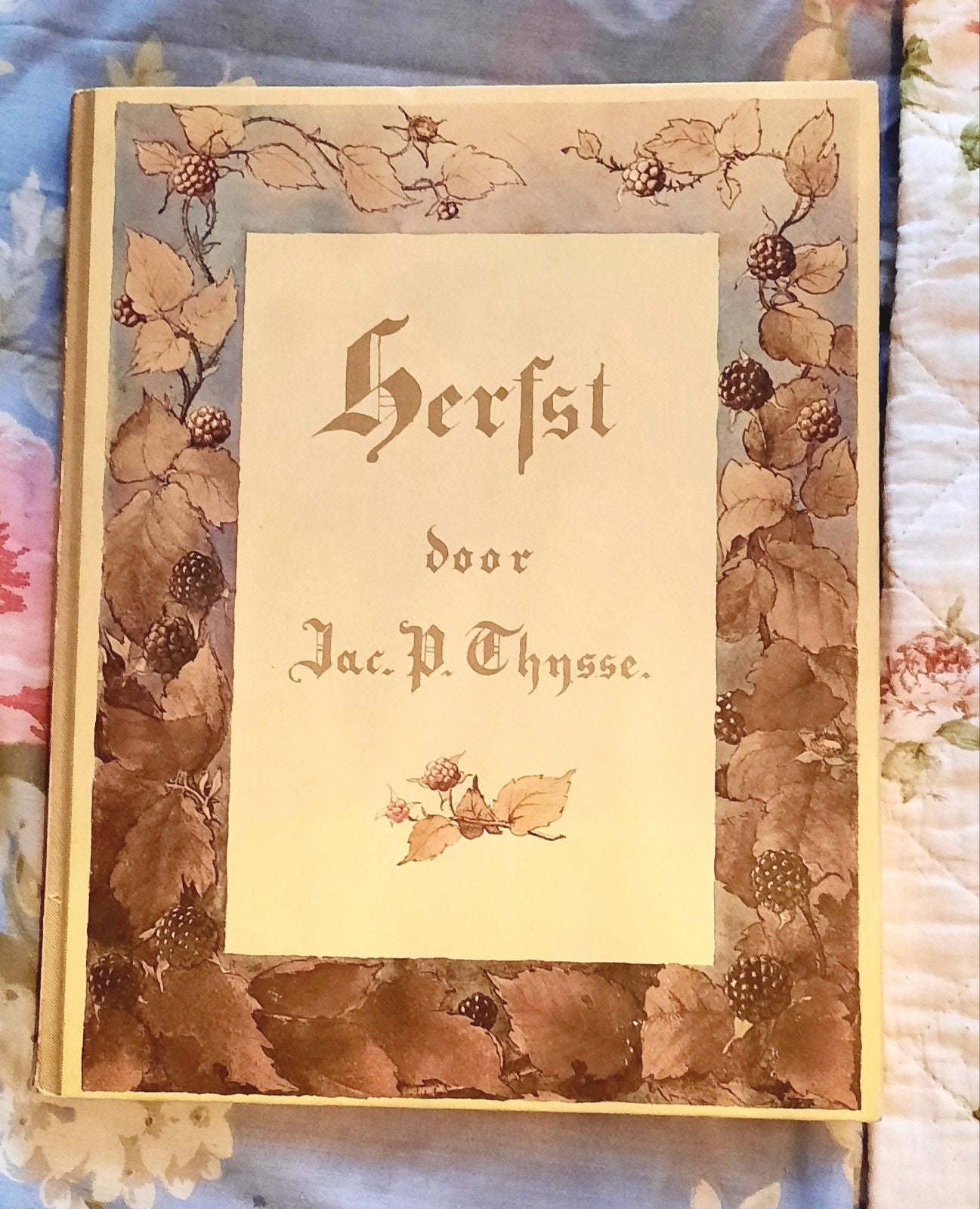 Compleet Verkade album Herfst - Jac. P. Thijsse Herdr. 1985, Boeken, Ophalen, Gelezen, Jac. P. Thijsse, Plaatjesalbum