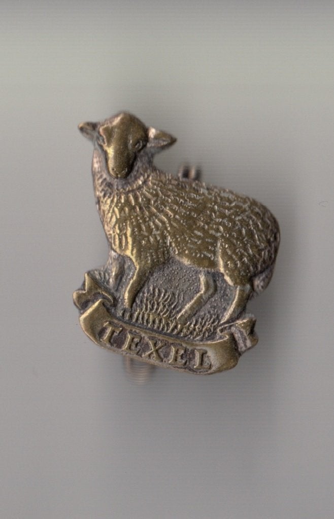 Texel schaap B broche, Verzamelen, Gebruikt, Niet vindbaar, Niet vindbaar, Speldje of Pin