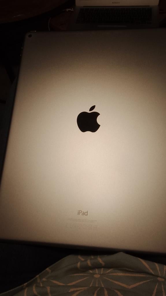 Ipad pro 12,9 inch space grey 256GB eerste generatie, Computers en Software, Apple iPads, Niet werkend, Apple iPad Pro, Wi-Fi