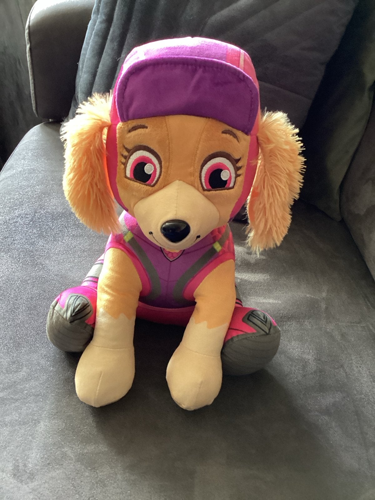 Paw Patrol Skye knuffel - Zo goed als nieuw, Ophalen, Overige merken, Hond, Middelgroot (20 tot 80 cm)