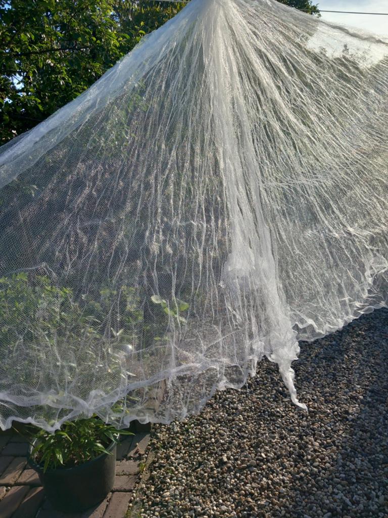 Nieuwe Clamboe - Muskietennet voor buiten, Overige typen, Minder dan 4 meter, Nieuw, 2 meter of meer