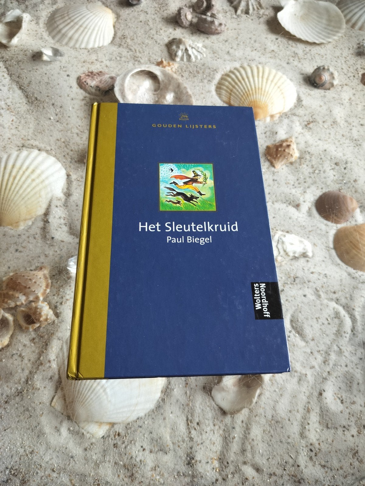 Paul Biegel - Het sleutelkruid - Gouden Lijsters, Boeken, Ophalen of Verzenden, Gelezen