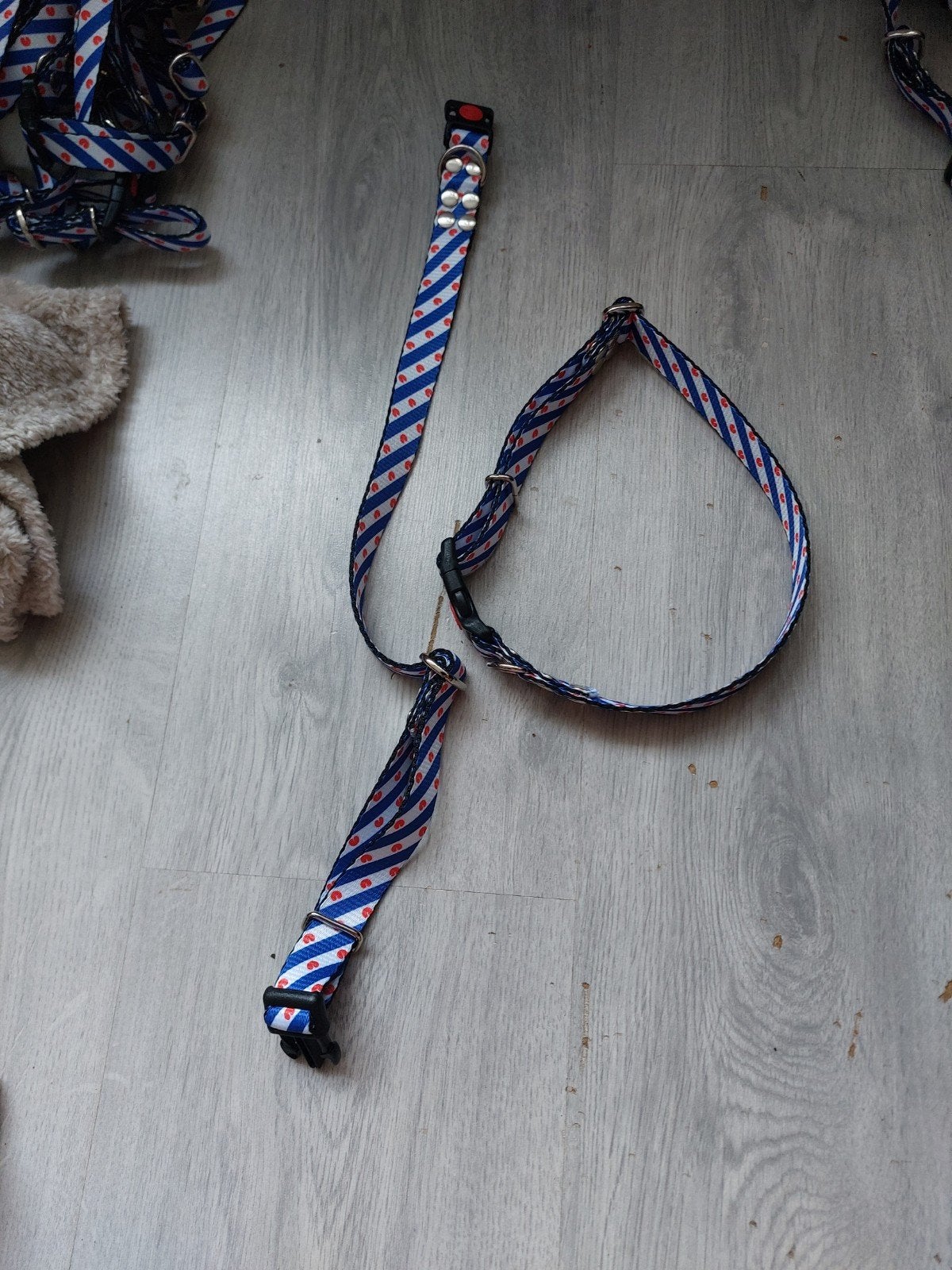 Friese honden halsband 40-60 cm, Ophalen, Nieuw