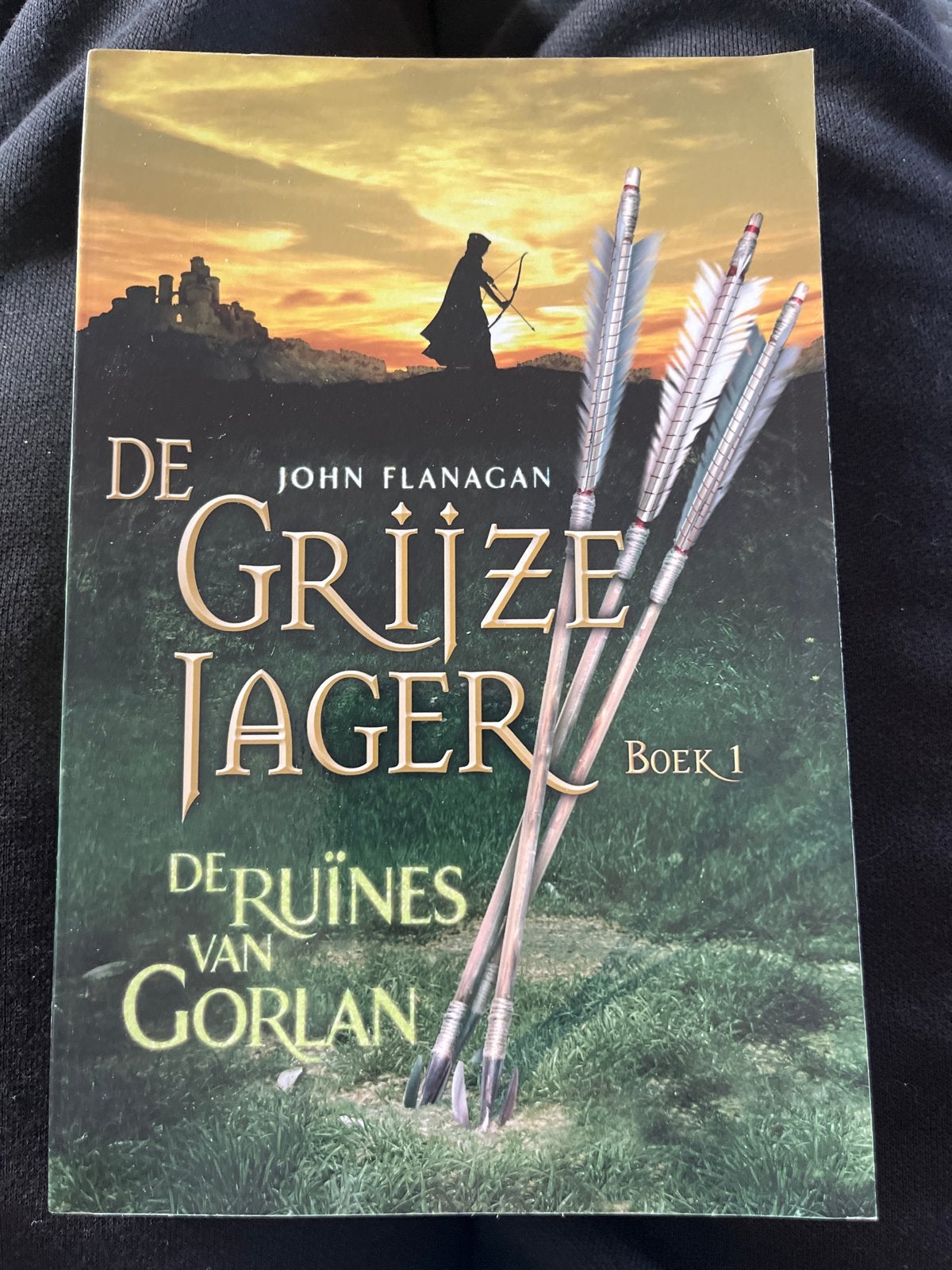 De Grijze Jager - De Ruïnes van Gorlan (Boek 1), Boeken, Ophalen of Verzenden, Zo goed als nieuw