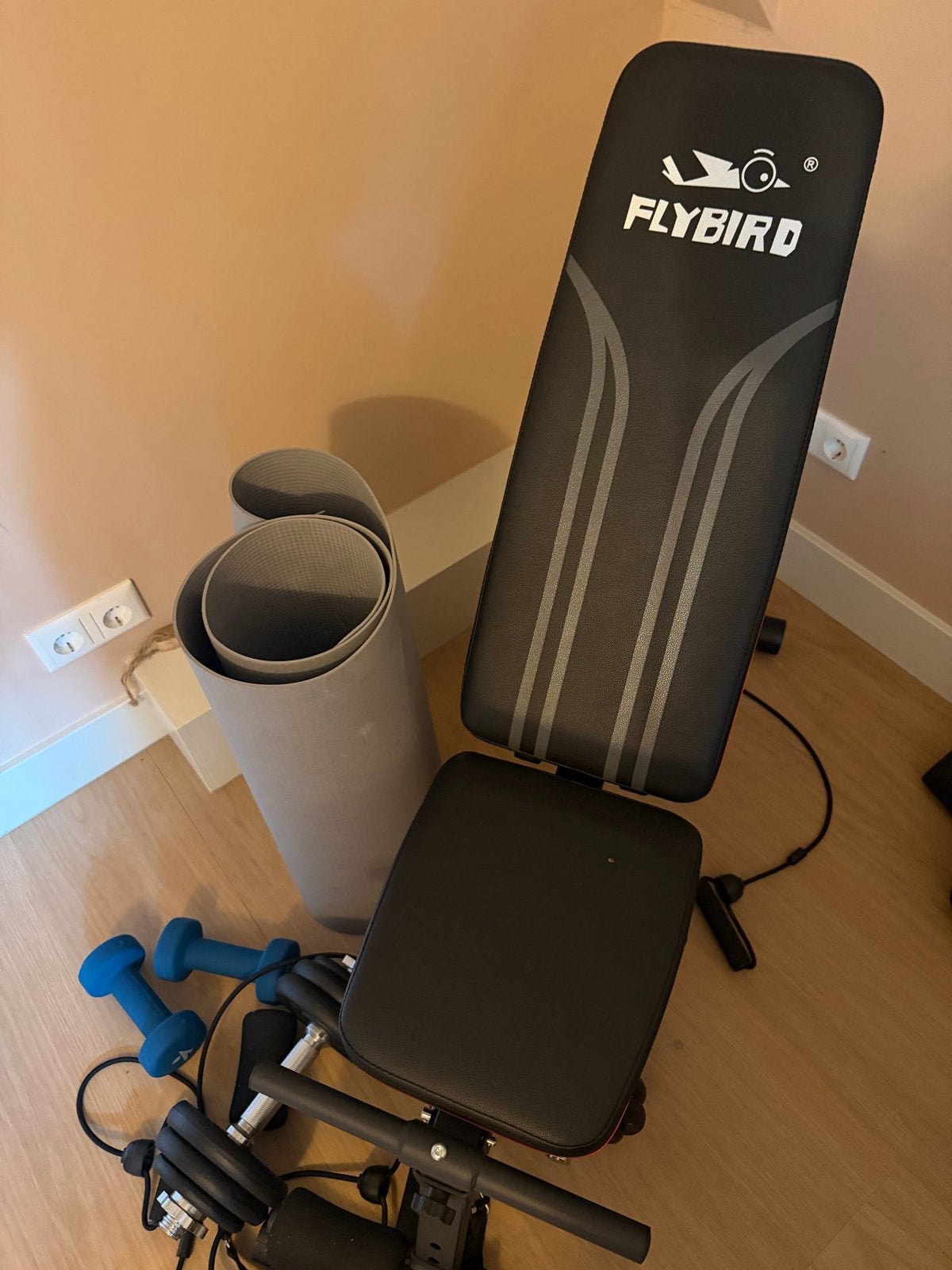 Flybird Fitnessbank met Dumbbells en Mat, Sport en Fitness, Fitnessmaterialen, Ophalen, Zo goed als nieuw, Armen, Fitnessbank