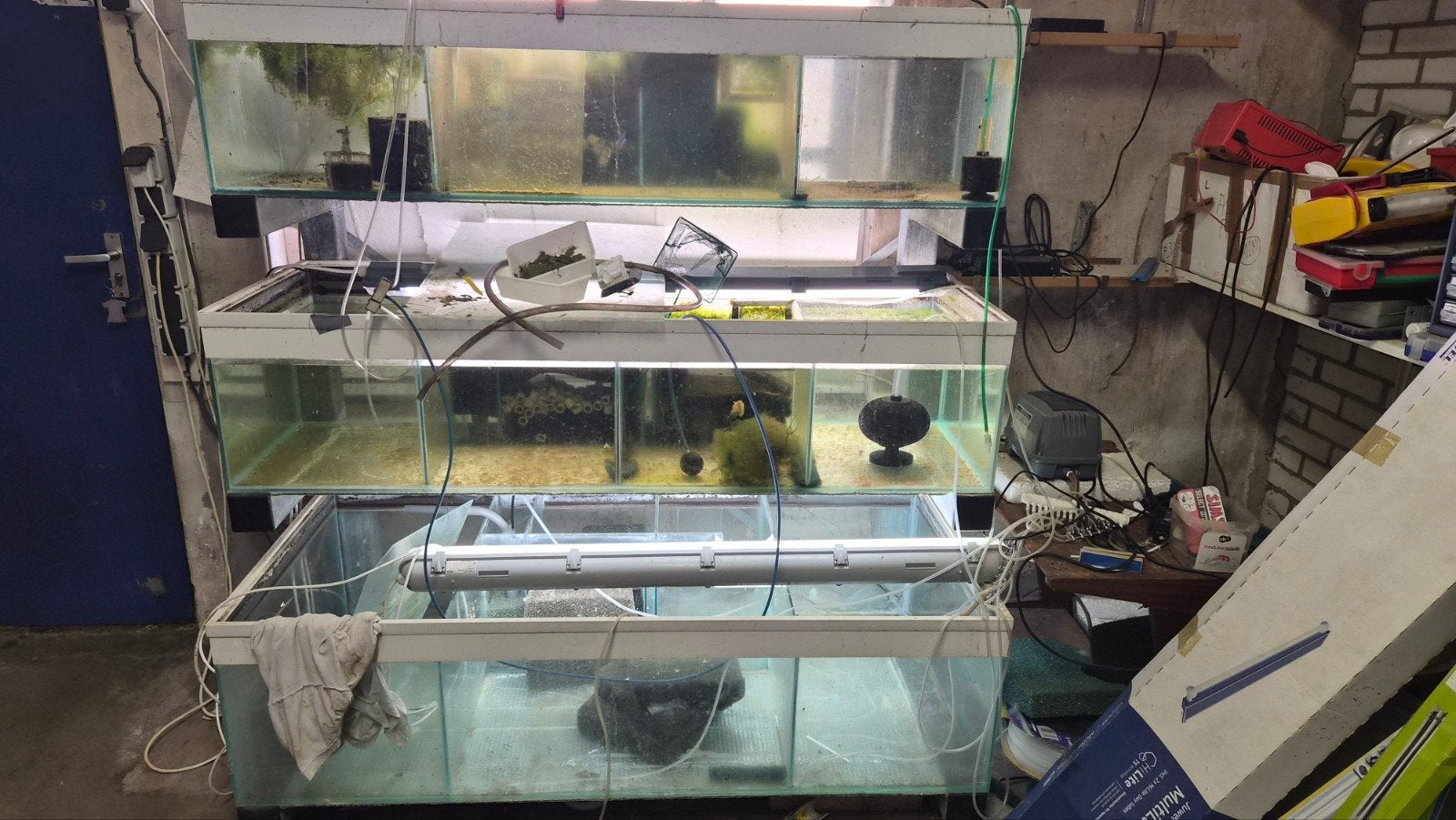 Gratis  aquaria, Ophalen, Gebruikt, Leeg aquarium