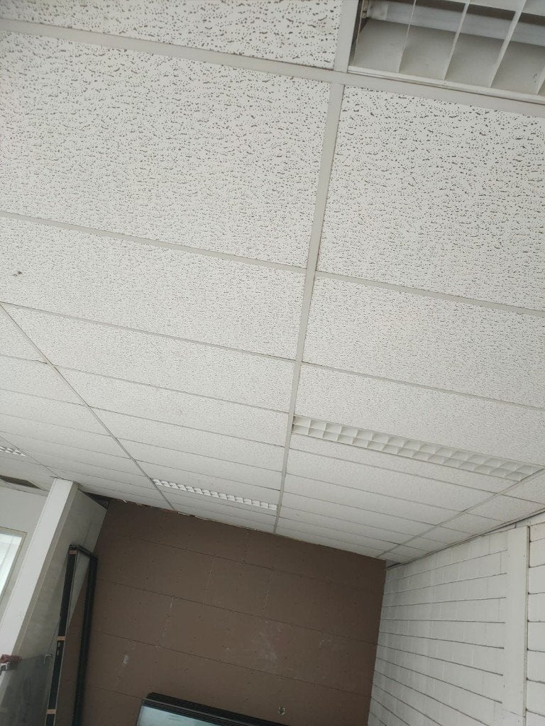 systeemplafond, Ophalen of Verzenden, Gebruikt