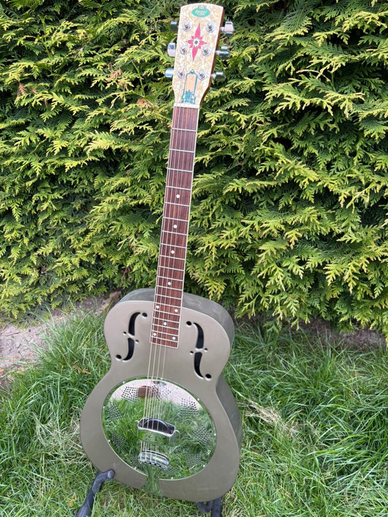 regal rc-1 polychrome duolian, Takamine, Ophalen