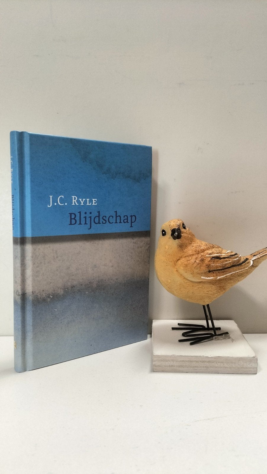 Ryle, J.C.; Blijdschap, Ophalen of Verzenden, Gelezen, Christendom | Protestants
