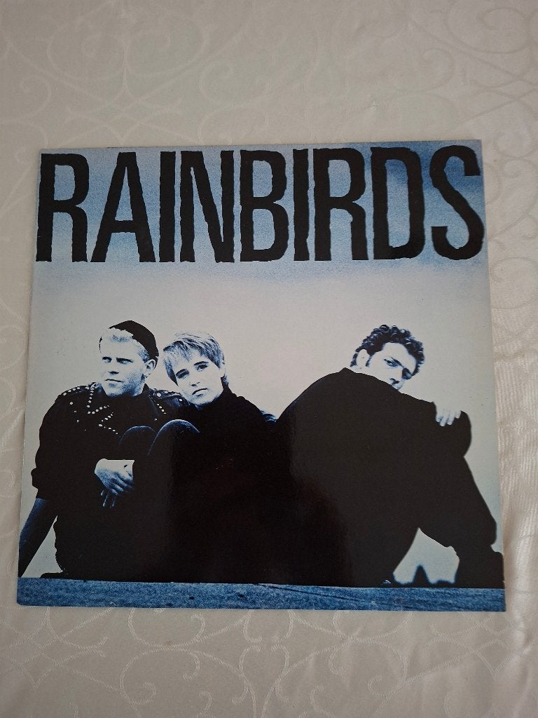 Lp  VAN RAINBIRDS - RAINBIRDS, Ophalen of Verzenden, Gebruikt, 12 inch