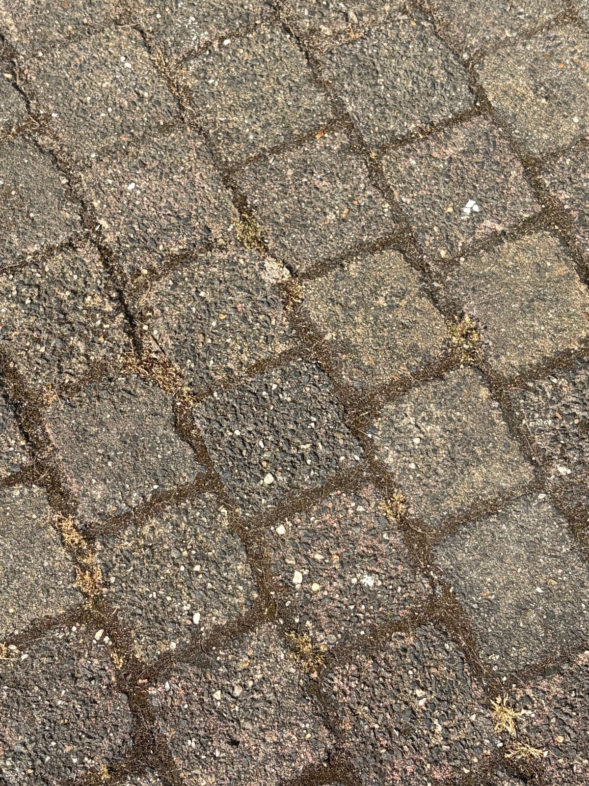 Gratis circa 1.000 klinkers 10x10 cm - Berkel en Rodenrijs, Ophalen, Gebruikt, Klinkers, 10 m² of meer