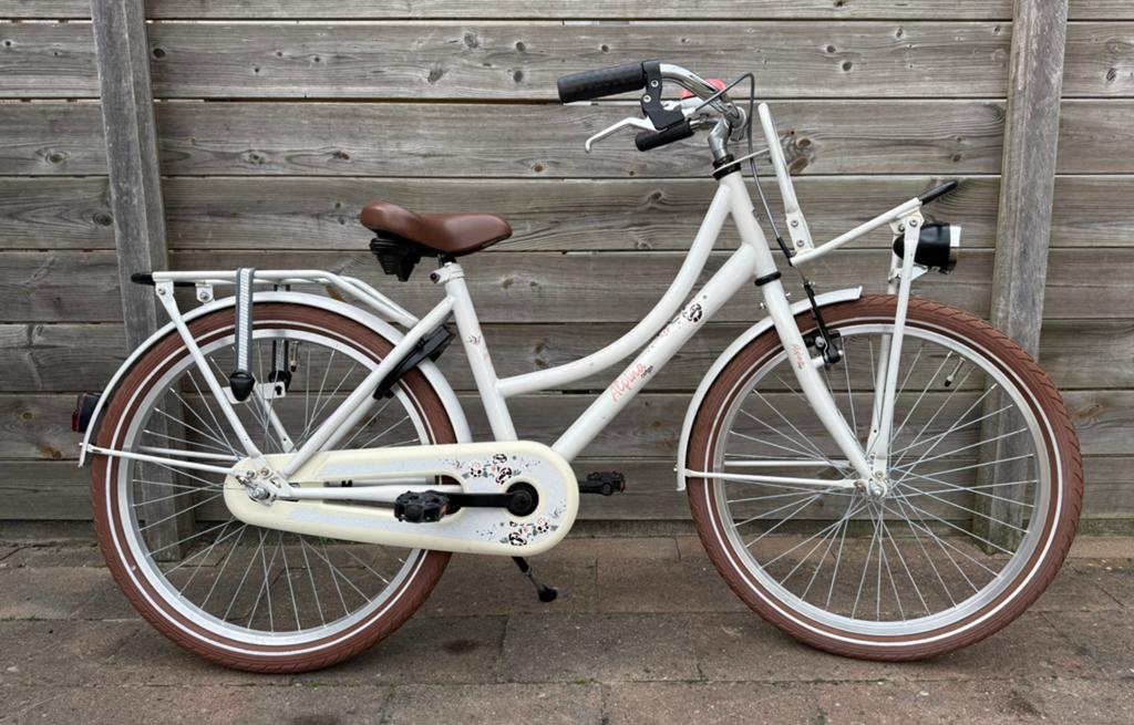 Diverse 22’ inch Alpina meisjesfietsen, Fietsen en Brommers, Fietsen | Meisjes, Ophalen, 22 inch, Gebruikt, Velgrem