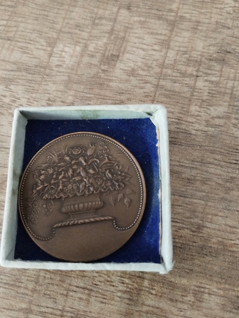 Medaille + titel; KMTP; Zilver; Chrysanten; Naaldwijk, Ophalen of Verzenden, Brons, Nederland