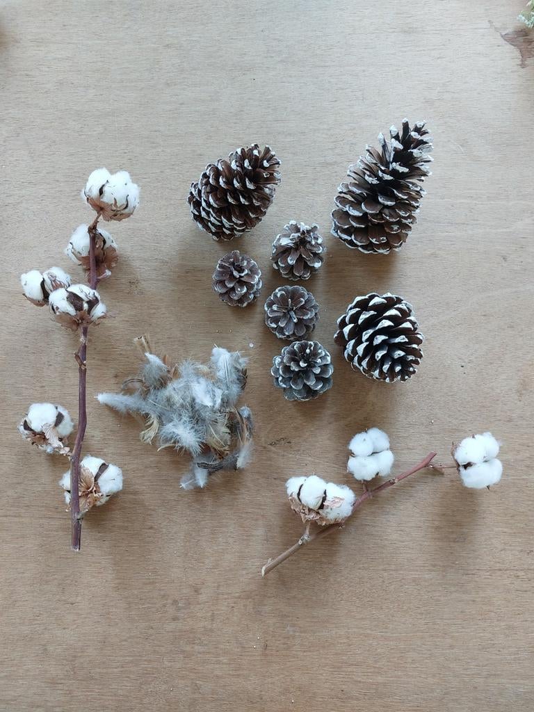 Decoratie Grote dennenappels, soort katoenplant en veertjes., Ophalen of Verzenden, Gebruikt