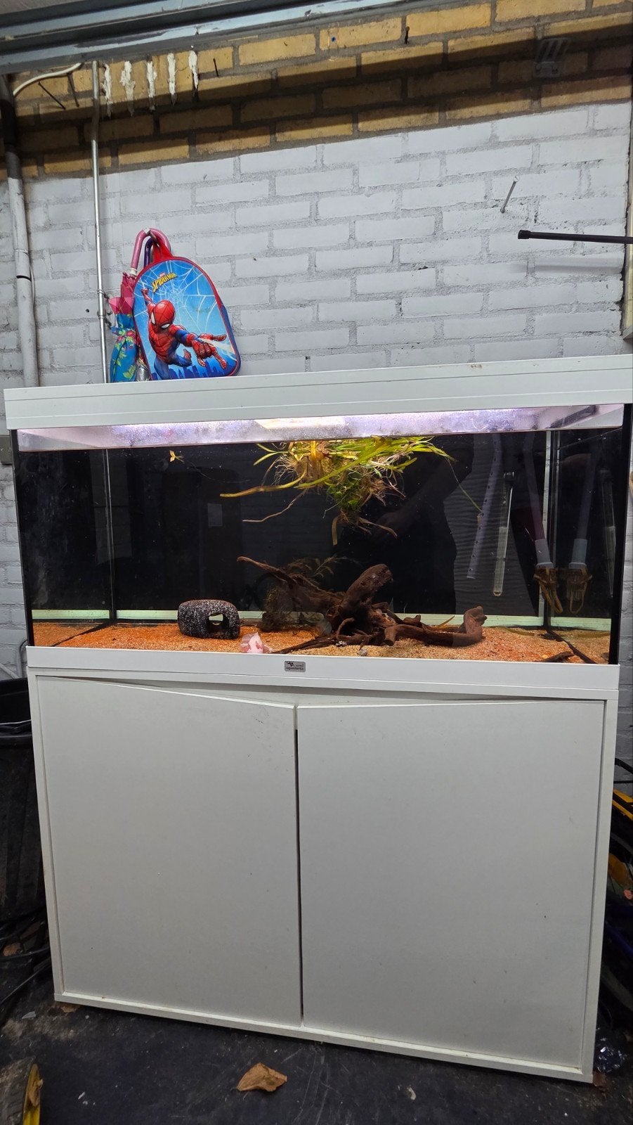 Aquatlantis volga 125 zonder vis met eheim filter, Ophalen, Inclusief toebehoren, Gebruikt, Aquatlantis