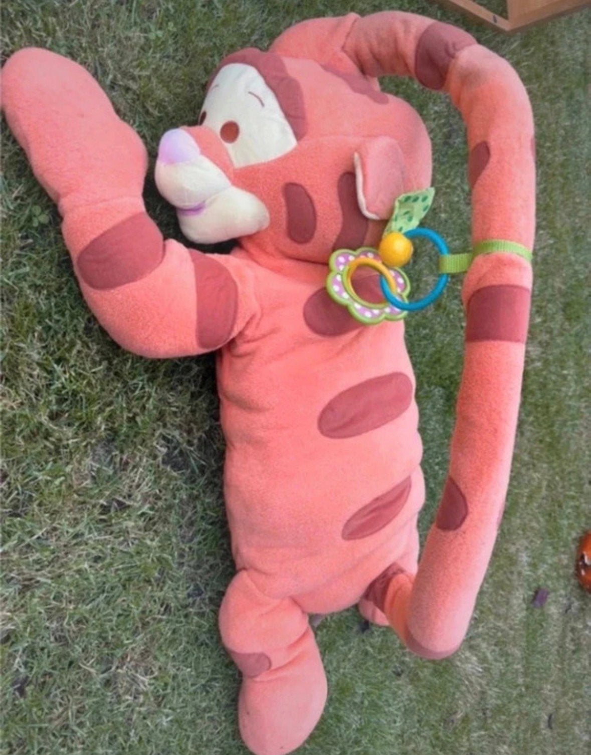 Tijgertje Speelkleed Disney Baby fisher price, Ophalen, Gebruikt, Speelkleed