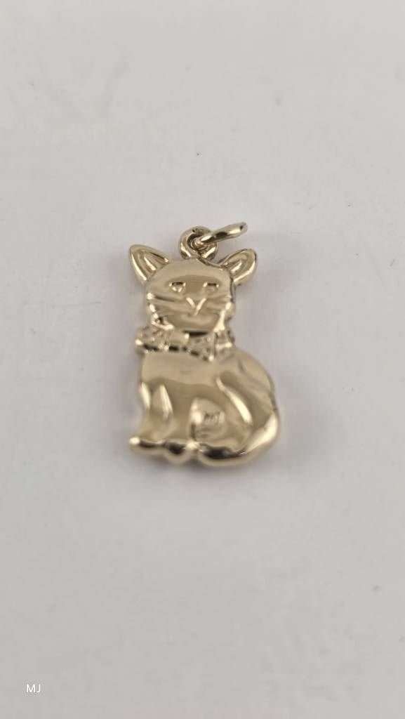 Gouden hanger poes                                       G47, Gebruikt, ., Ophalen of Verzenden, .