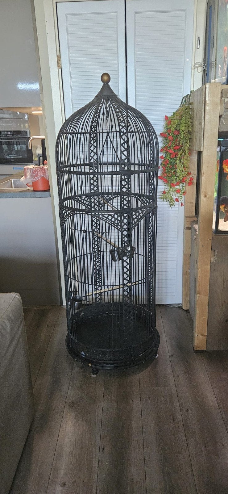 victorie kooi, Ophalen, Zo goed als nieuw, Metaal, Vogelkooi