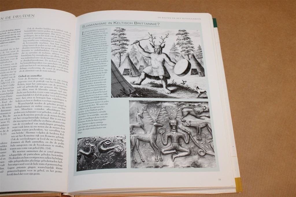 Ontdek de Wereld van de Druïden — Mythe & Geschiedenis, Ophalen of Verzenden, Gelezen, Overige onderwerpen, Achtergrond en Informatie