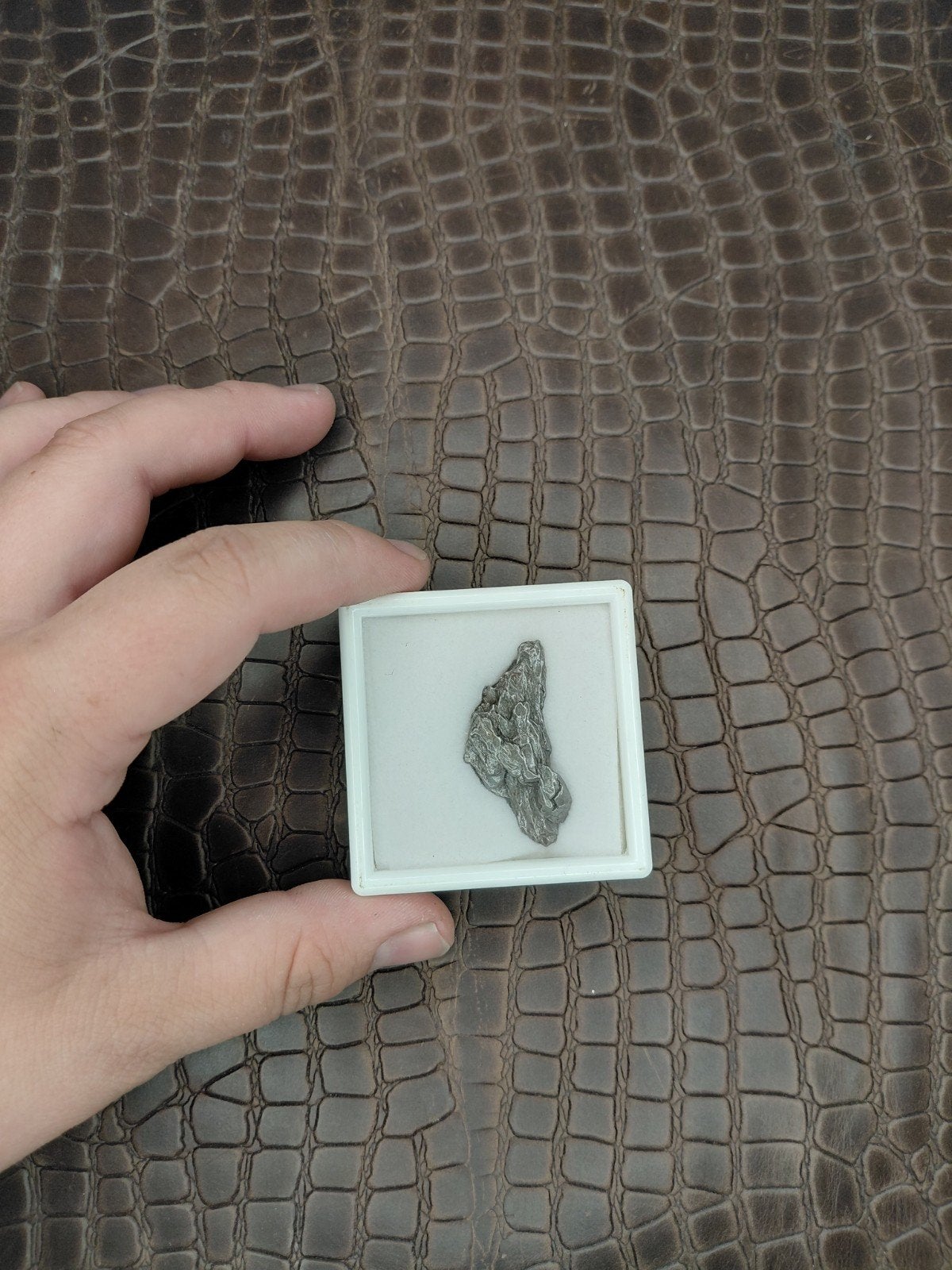 20 gram Campo del cielo meteoriet, Ophalen of Verzenden, Zwart, Handen en Nagels