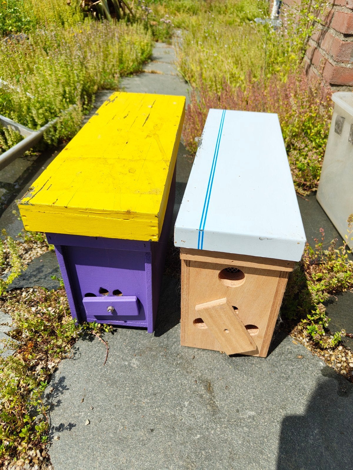 3 ramer bijenkast formaat spaarkast, Ophalen, Nieuw