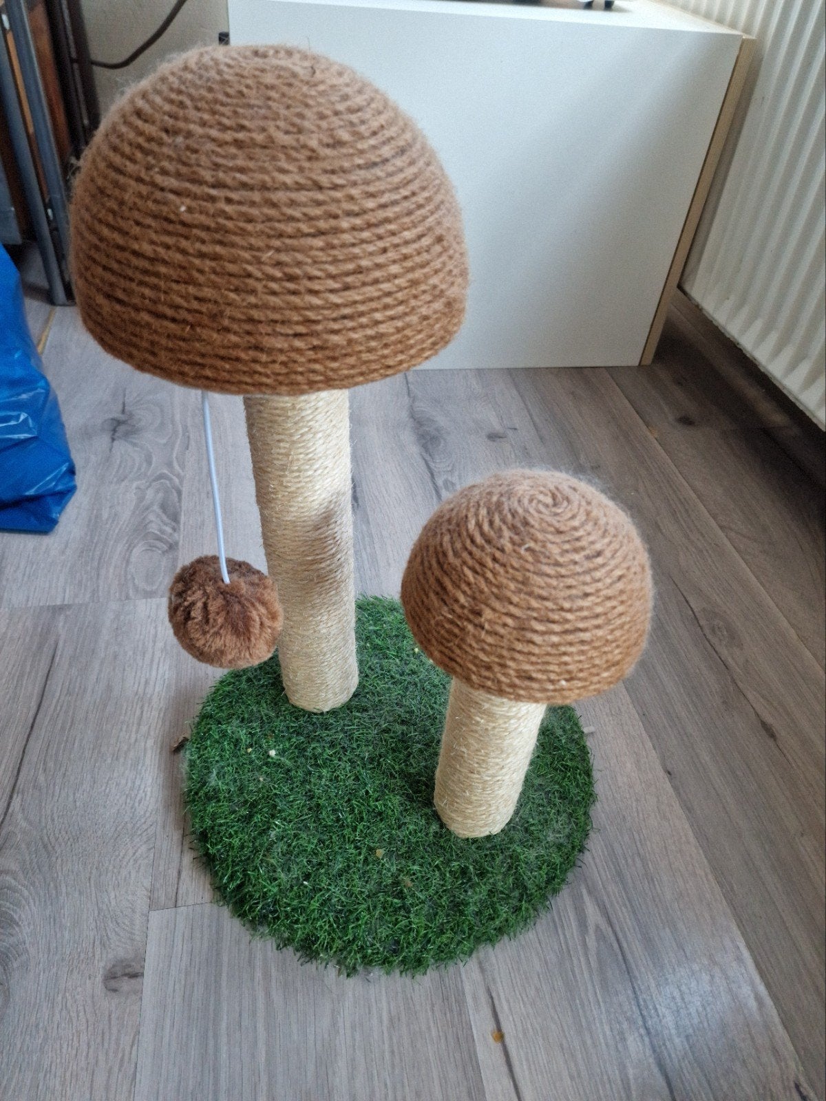 Cat Scratcher, Ophalen