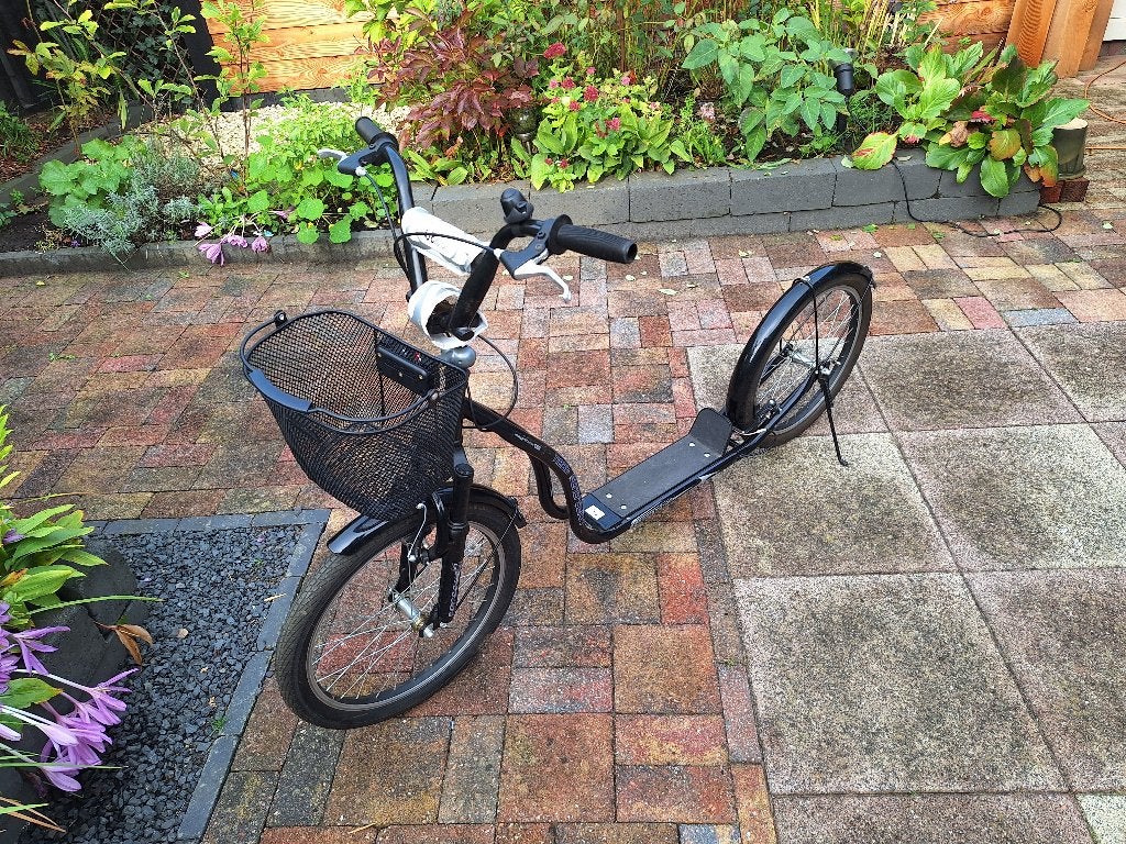 Step ook wel volwassenen autoped genoemd, Ophalen, Gebruikt