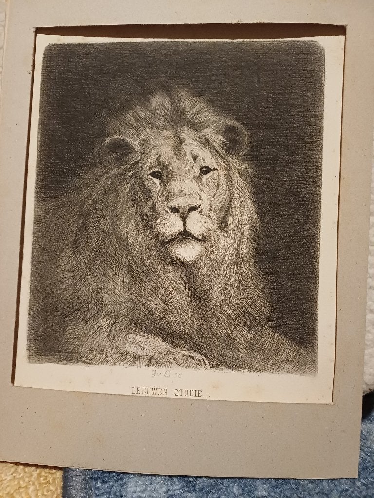Ets/Tekening (Jan van Essen 1854-1936 ), Ophalen, 17 cm, 15 cm, 1900 - 1949