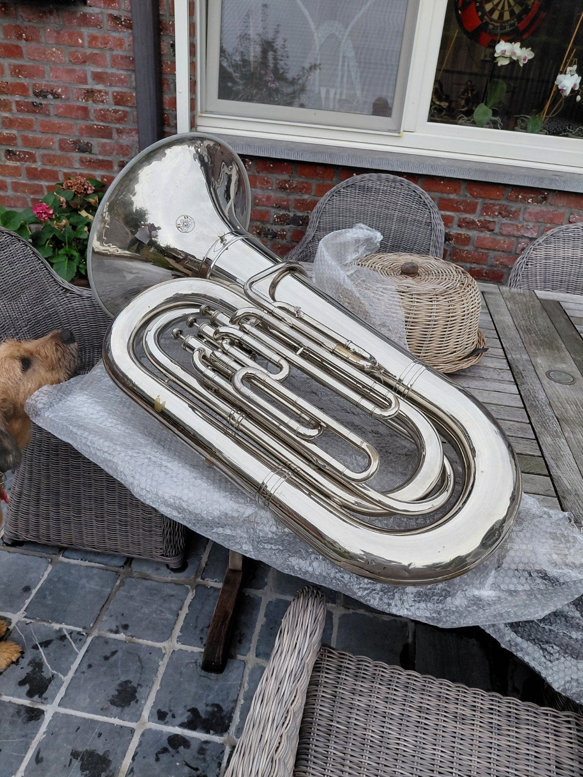 grote bas si b eufonium tuba, Ophalen, Gebruikt, Bes-tuba