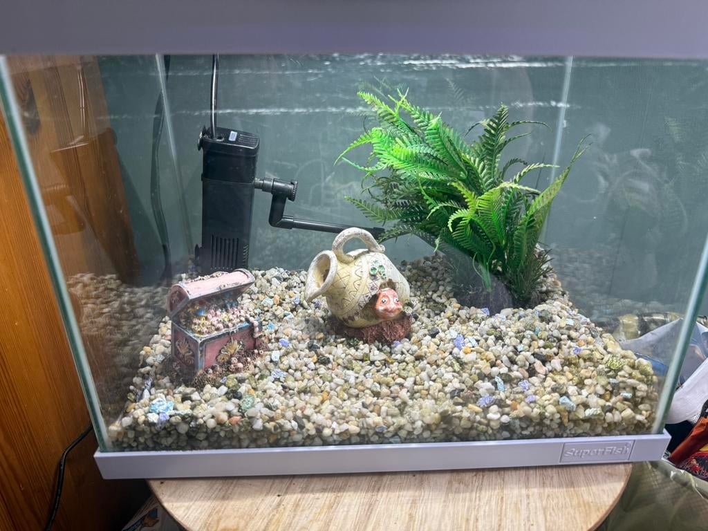 Aquarium met lamp en toebehoren, Dieren en Toebehoren, Vissen | Aquaria en Toebehoren, Ophalen, Inclusief toebehoren, Zo goed als nieuw
