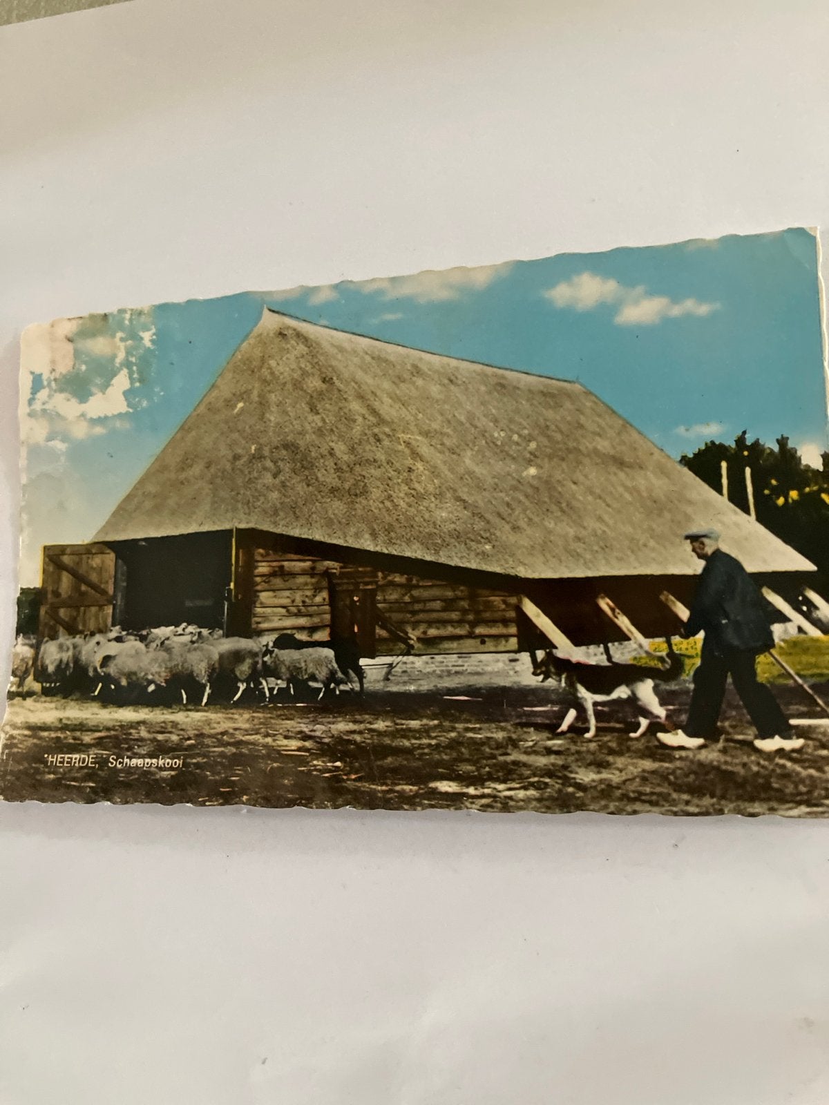 Oude Ansichtkaart Heerde, Schaapskooi - Gelopen, Ophalen of Verzenden, 1940 tot 1960, Gelopen, Gelderland