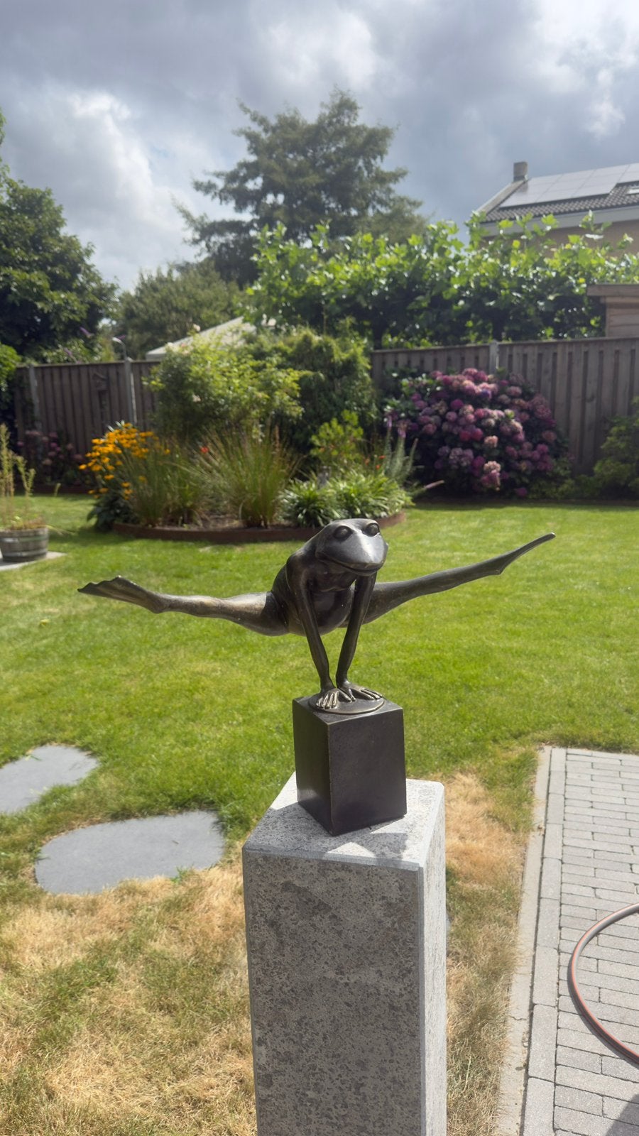 Bronzen beeld kikker., Ophalen of Verzenden, Nieuw, Overige materialen