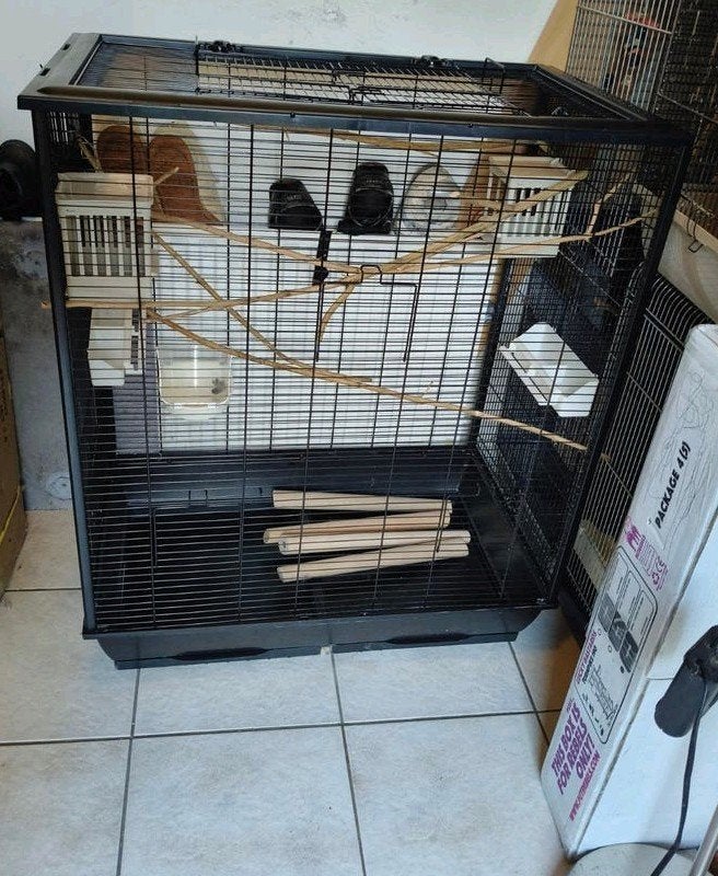 luxe voliere/ mega vogelkooi te koop! + toebehoren, Ophalen, Zo goed als nieuw, Metaal, Vogelkooi