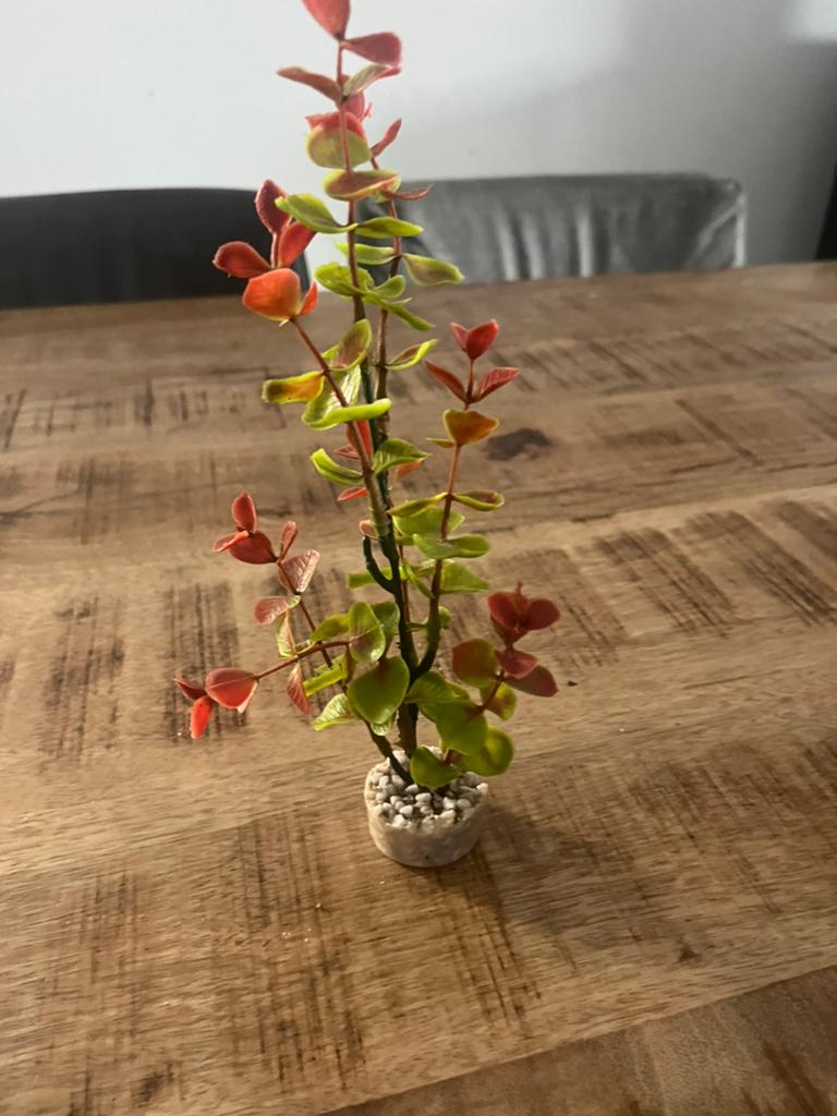 Nep plant aquarium, Dieren en Toebehoren, Ophalen of Verzenden, Nieuw, Plant(en), Steen of Hout