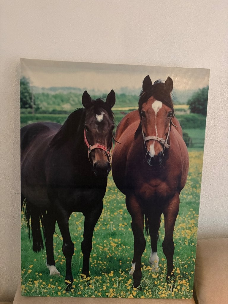 Canvas schilderij met paarden, Ophalen, Zo goed als nieuw, Schilderij, 75 – 100