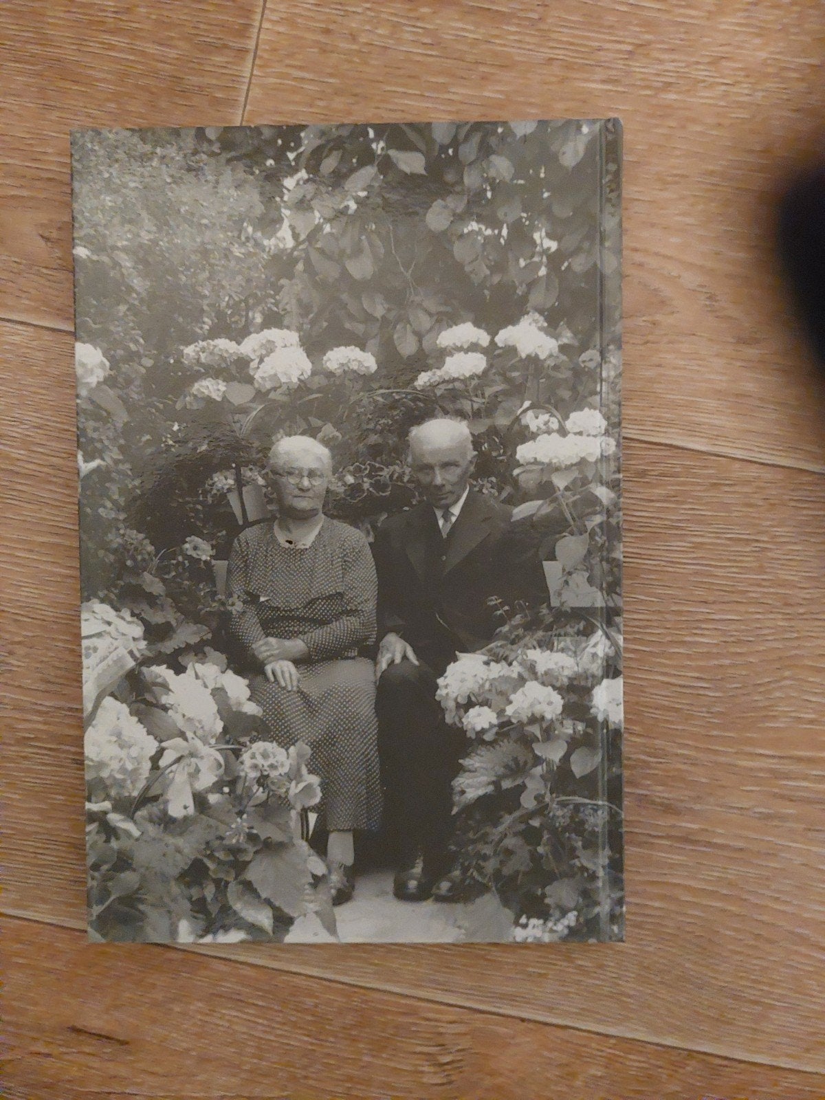 285 x De Pionier van de Westereen - Keimpe Sikkema, Boeken, Nieuw, Jan Bergsma, Ophalen, 20e eeuw of later