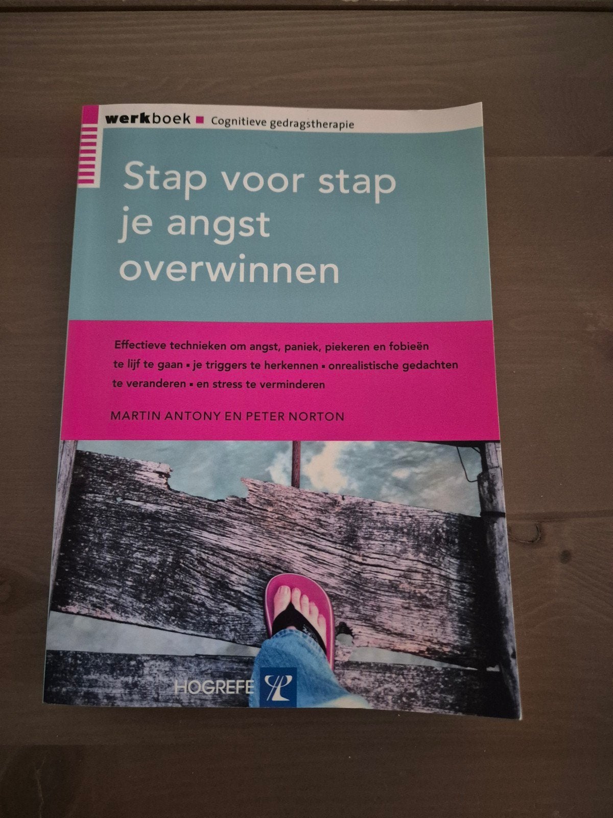 Stap voor stap je angst overwinnen - Werkboek, Ophalen of Verzenden, Zo goed als nieuw, Martin Antony en Peter Norton