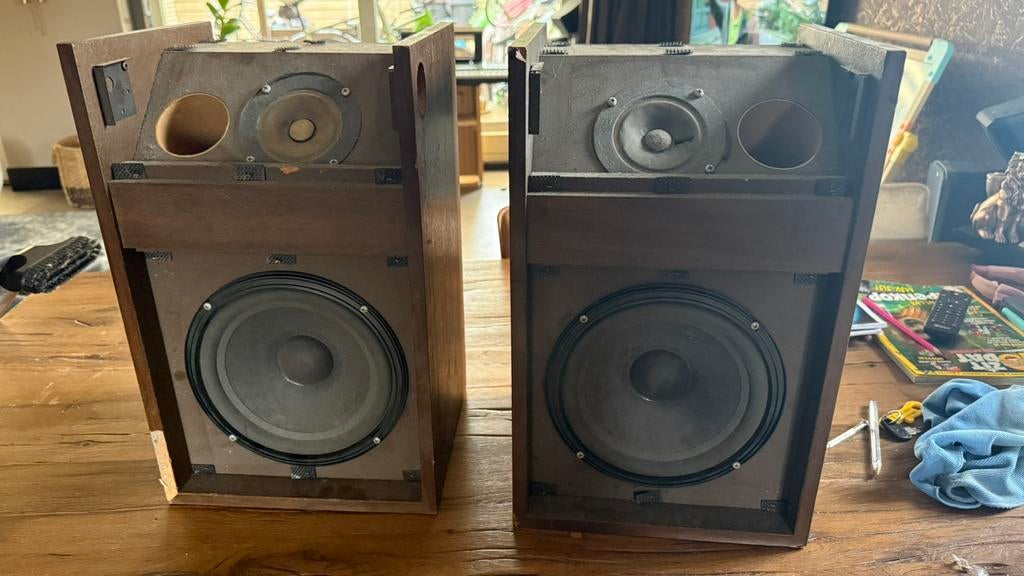 Bose 301 refurbished woofer, Audio, Tv en Foto, Luidsprekers, Gebruikt, Ophalen of Verzenden, 60 tot 120 watt, Bose