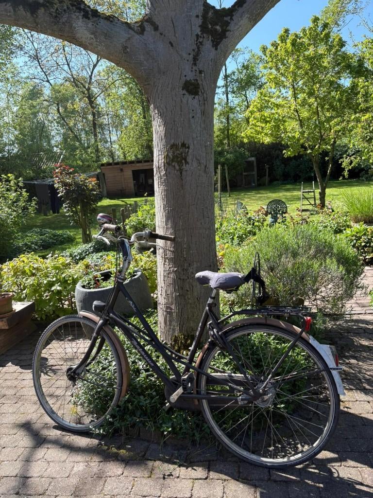 Damesfiets Batavus, Fietsen en Brommers, Fietsen | Dames | Damesfietsen, Gebruikt, Batavus, (Extra) lage instap, Versnellingen