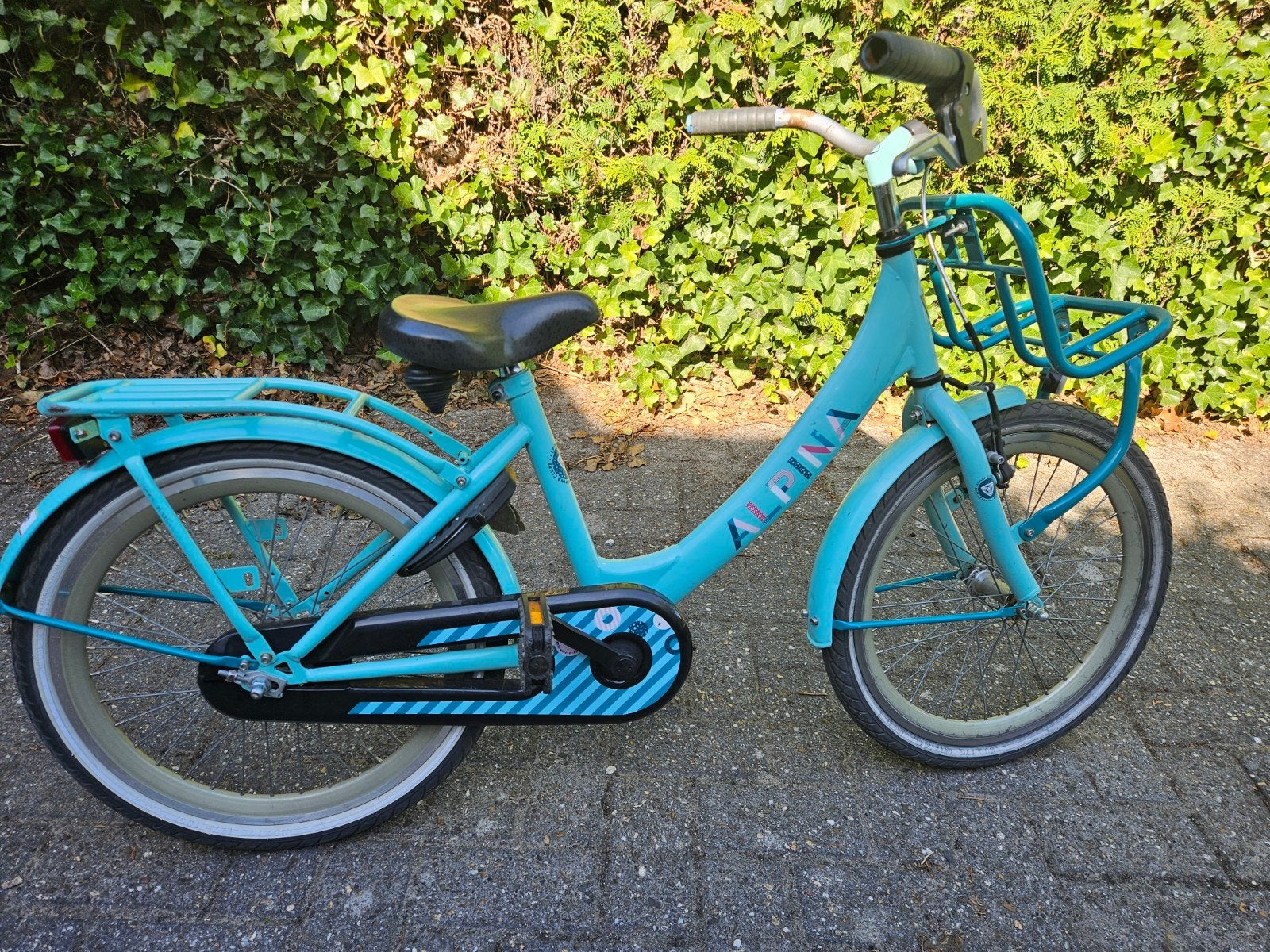 alpina 20 inch kinderfiets goede gebruikte staat, Ophalen, Terugtraprem, Gebruikt, Alpina