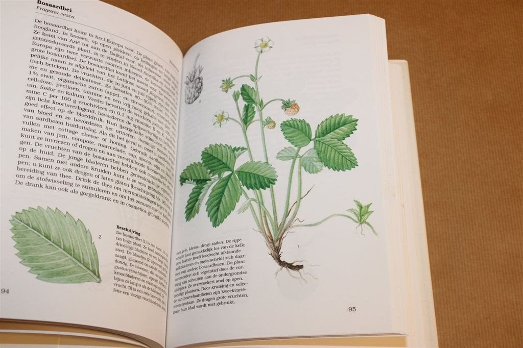 Eetbare Planten — 100+ Soorten & Gebruik Natuurgids, Ophalen of Verzenden, Gelezen, Bloemen, Planten en Bomen