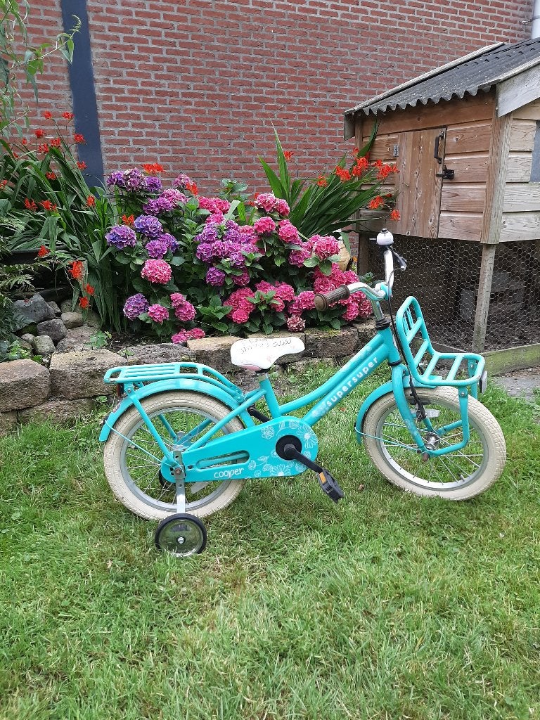 kinderfiets, Fietsen en Brommers, Fietsen | Kinderfietsjes, Ophalen, Terugtraprem, Zijwieltjes, Gebruikt