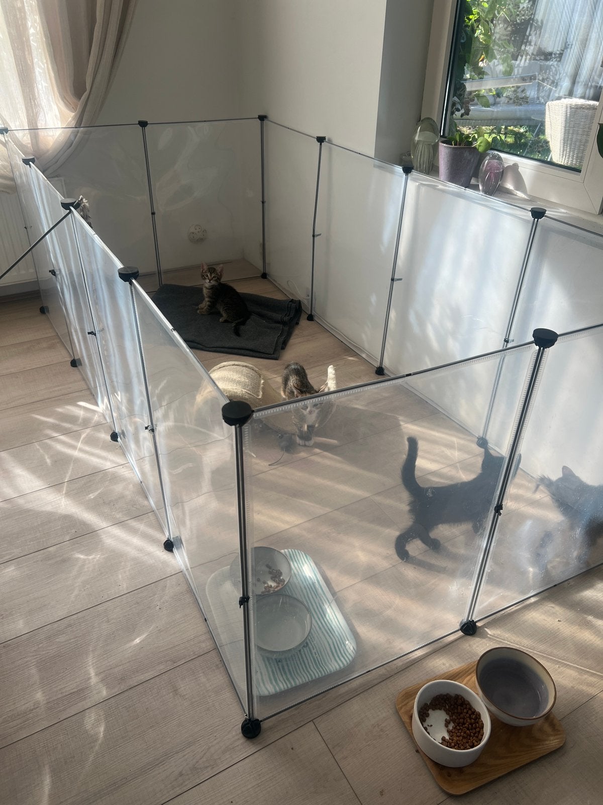 Transparant kitten- / puppyren Opvouwbaar zo goed als nieuw, Meerdere dieren