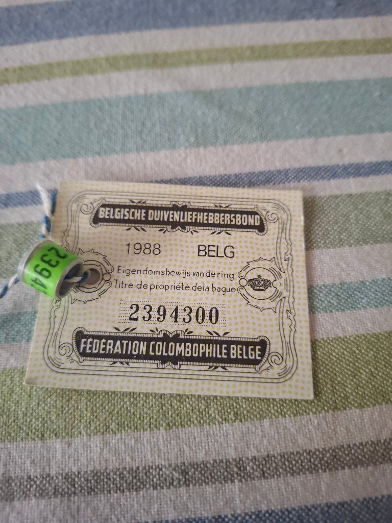 Duivenring1988 belg, Dieren en Toebehoren, Postduif