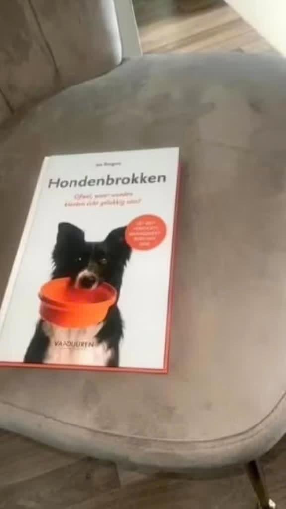 Hondenbrokken, Verzenden, Beta