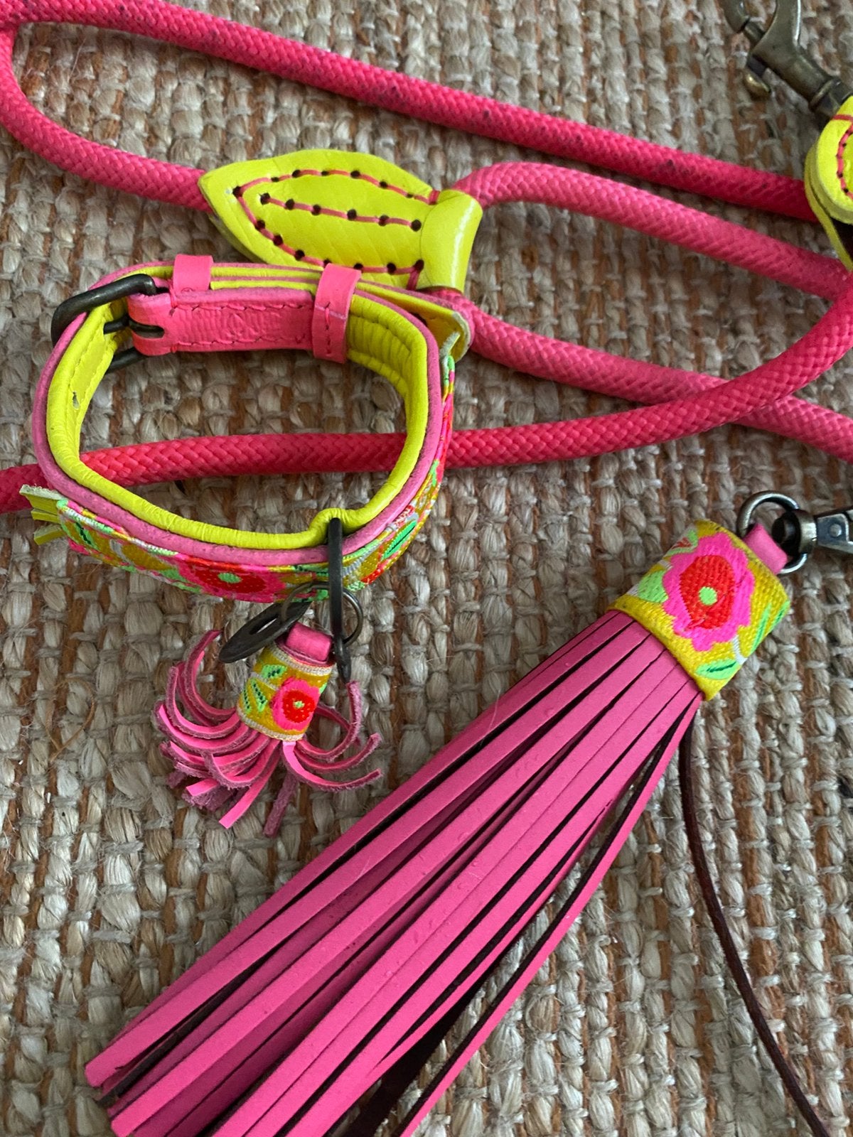 Halsband en looplijn dogs with a mission XXS, Ophalen of Verzenden, Zo goed als nieuw