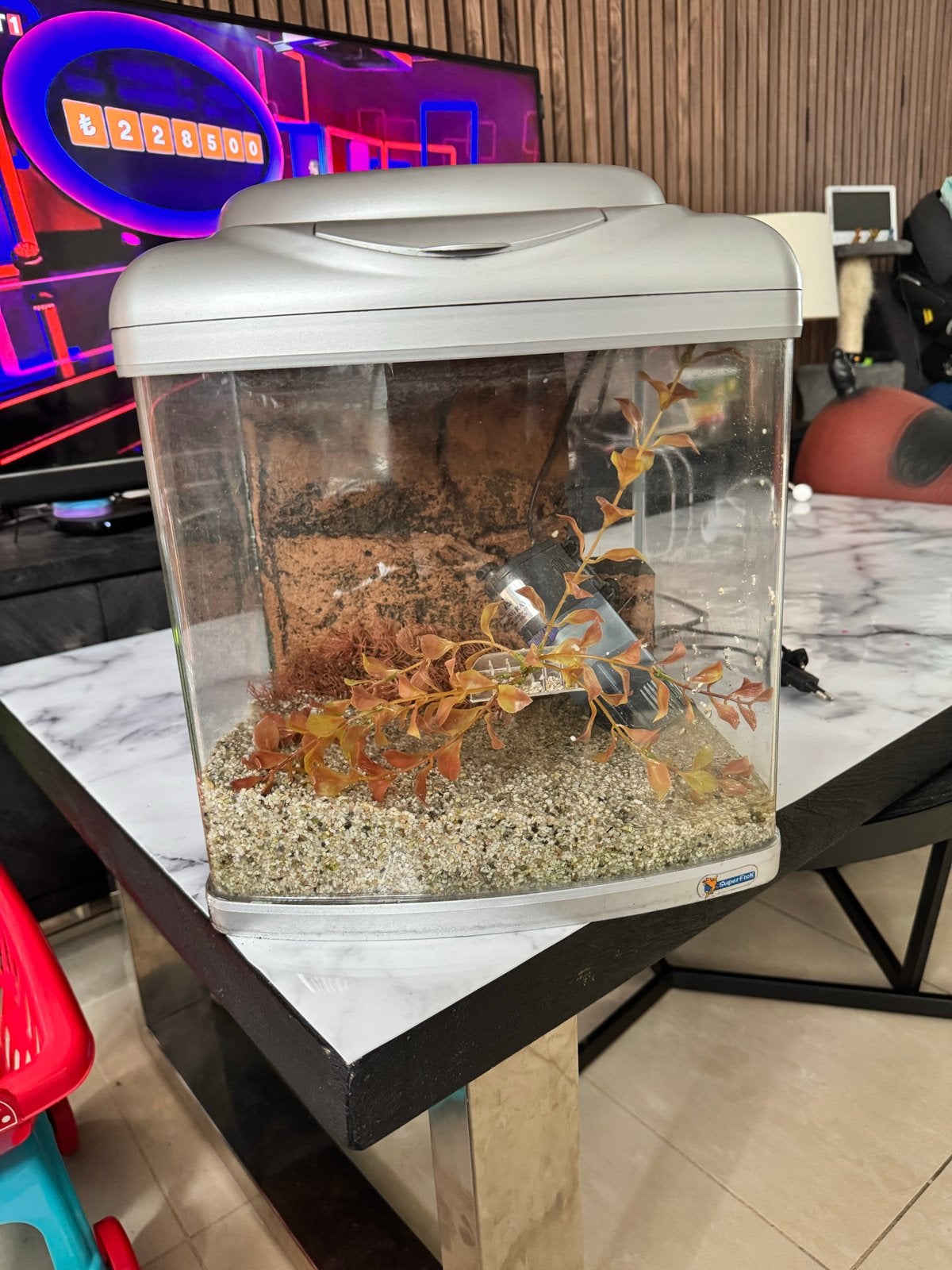 SuperFish Aqua 40 zilver  panorama-aquarium, Gebruikt, Inclusief slangen, Ophalen of Verzenden, Superfish